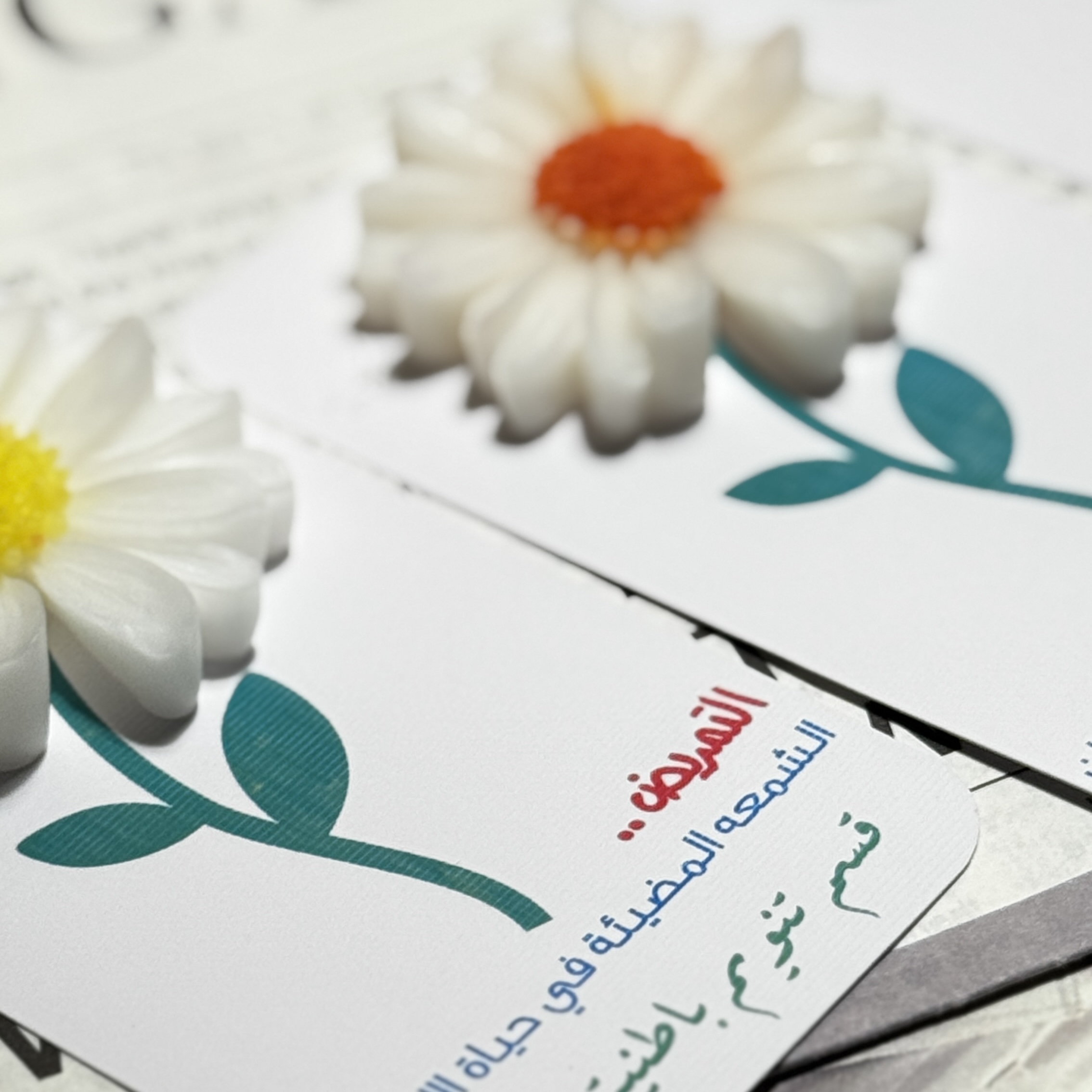 توزيعات شموع 