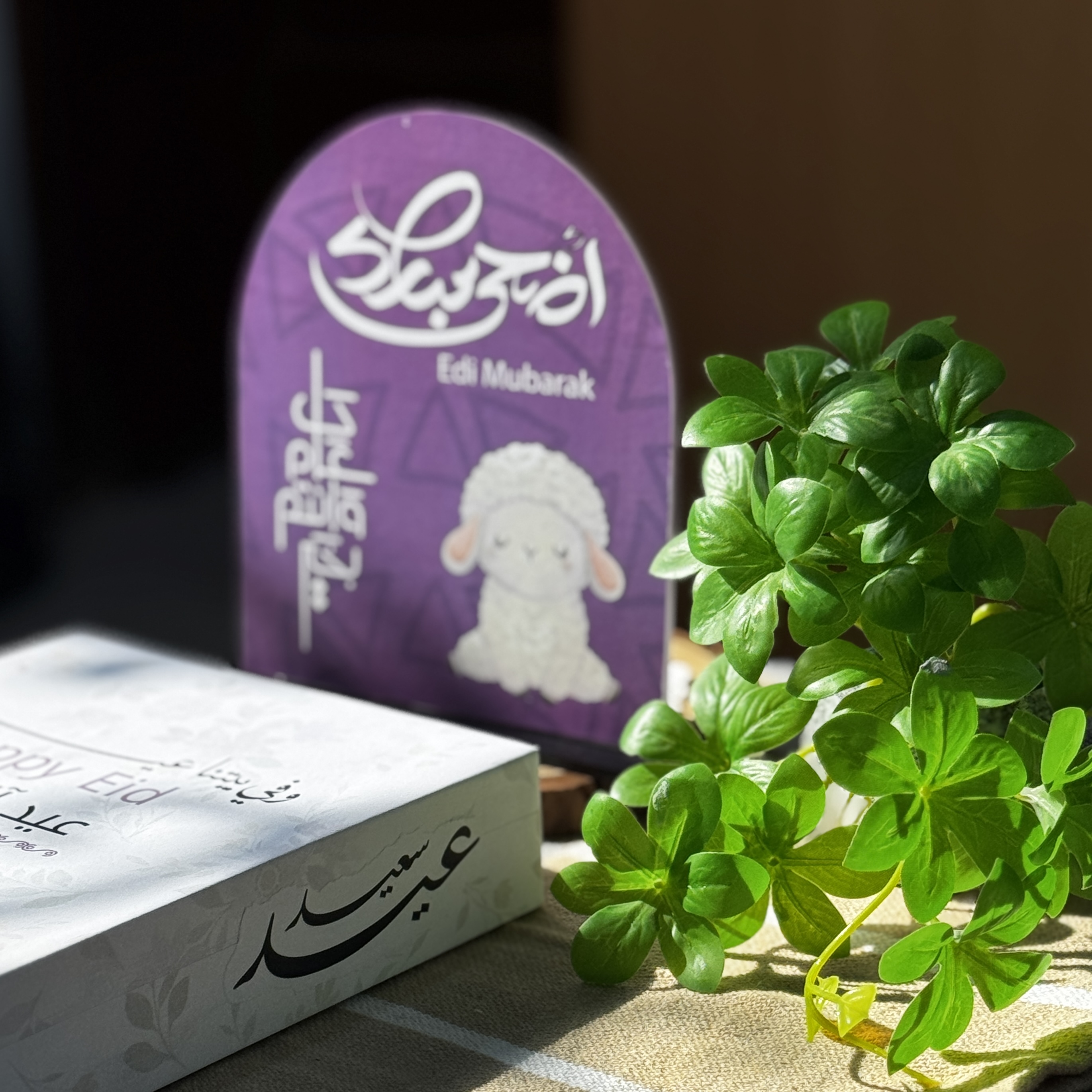 استاند العيد